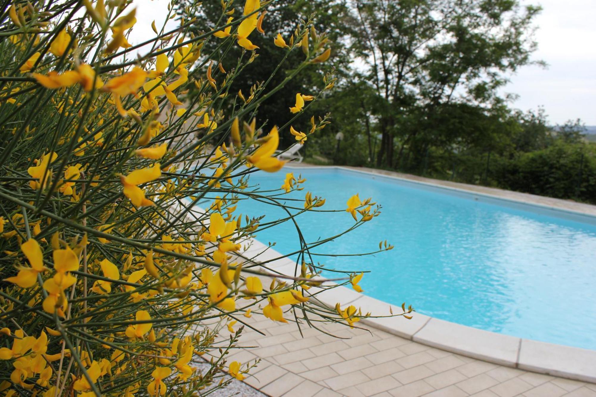 Agriturismo La Valle Del Vento Urbino Zewnętrze zdjęcie