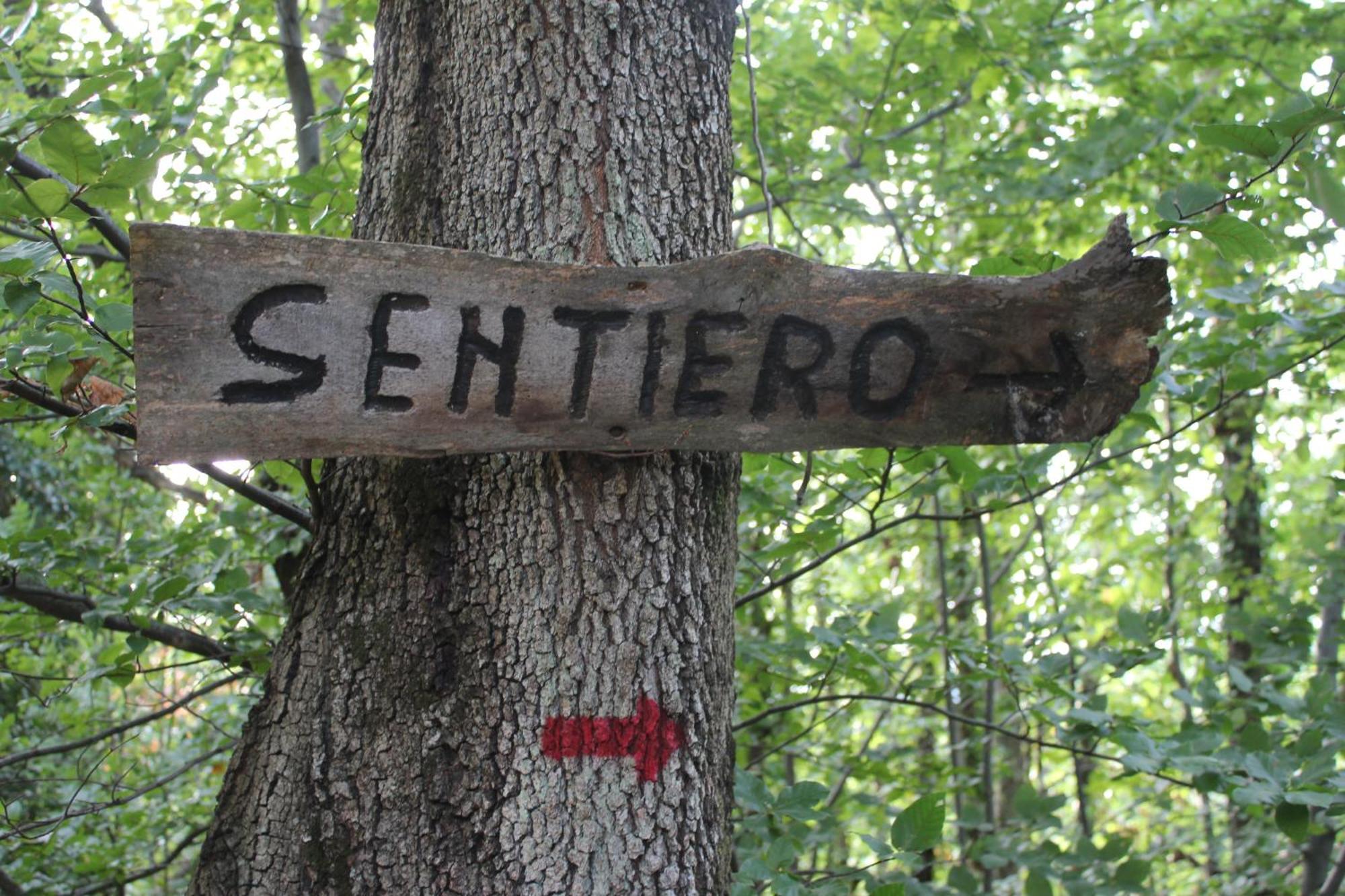 Agriturismo La Valle Del Vento Urbino Zewnętrze zdjęcie