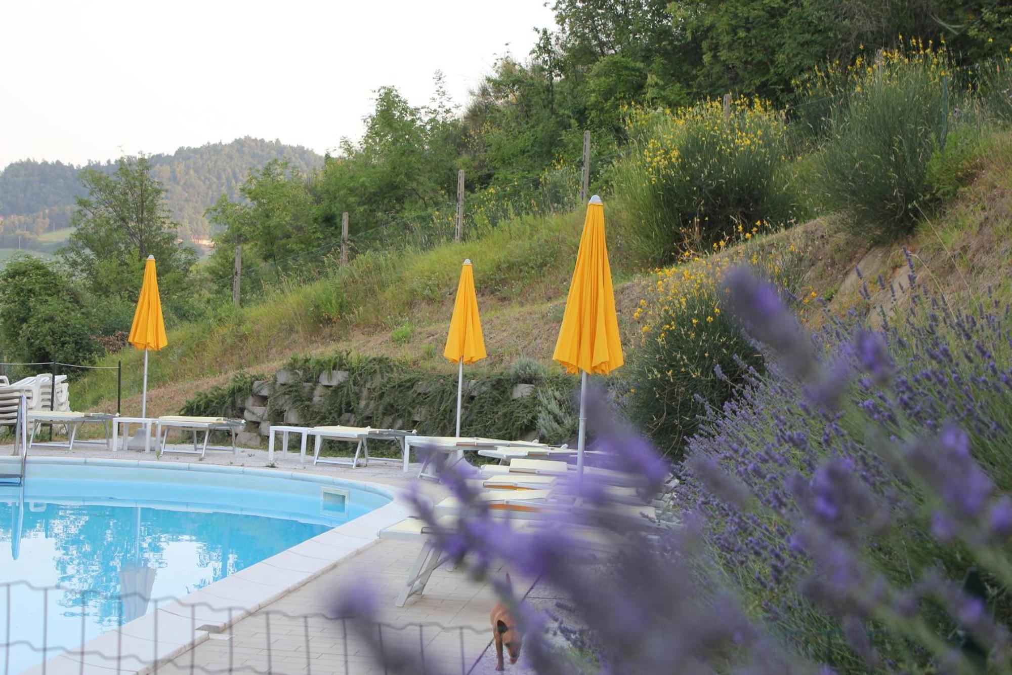 Agriturismo La Valle Del Vento Urbino Zewnętrze zdjęcie